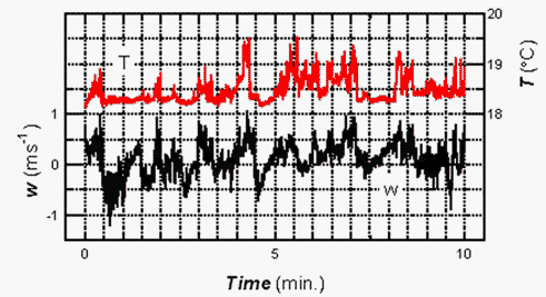 Fluctuation of vertical wind speed & air temperature