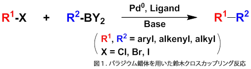 図１