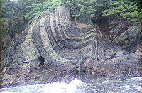 褶曲した地層(宮城県石巻市)