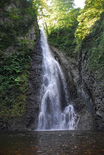 DSC_3223.JPG