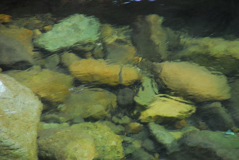 DSC_3233.JPG