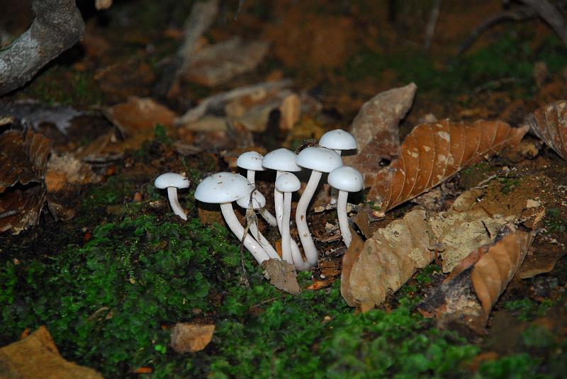 DSC_3246.JPG