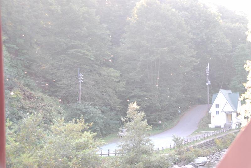 DSC_3253.JPG