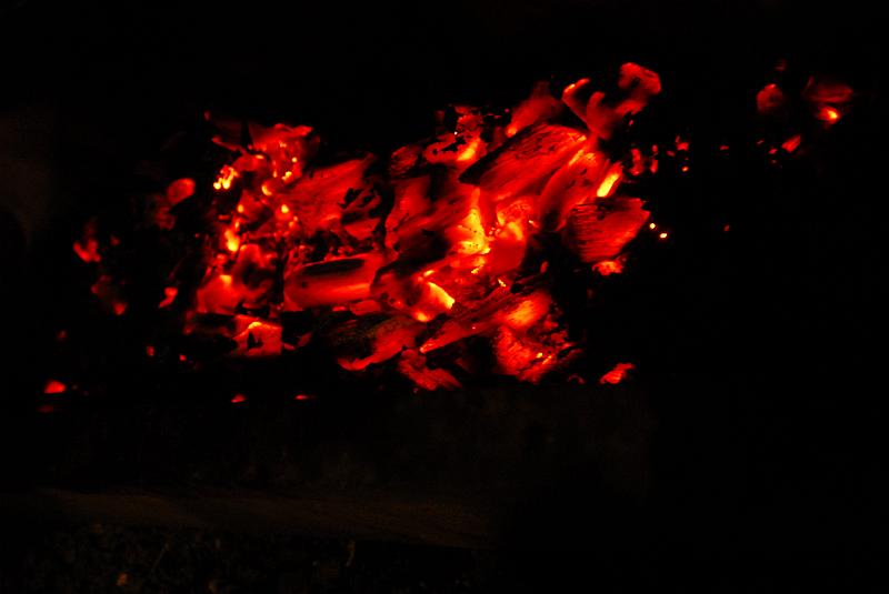 DSC_3313.JPG