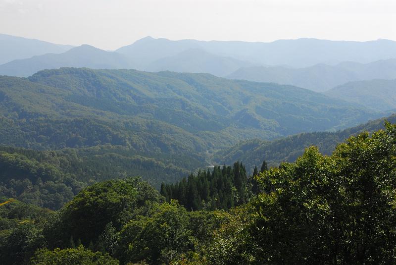 DSC_3380.JPG