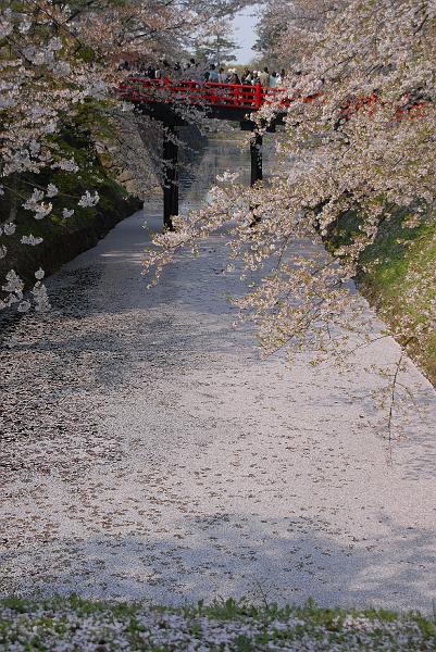 DSC_8892.JPG
