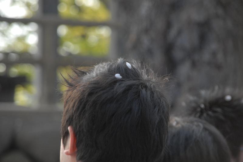 DSC_8919.JPG