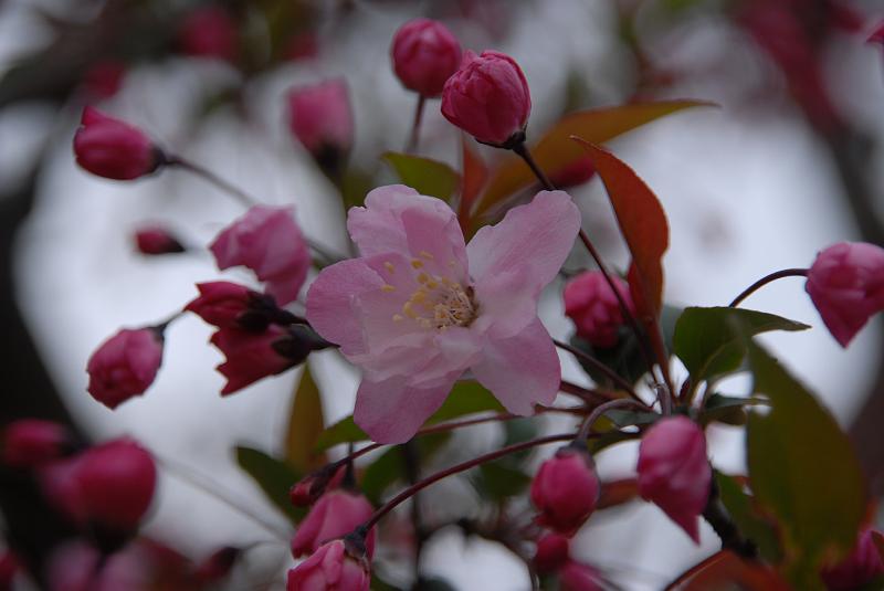 DSC_8931.JPG