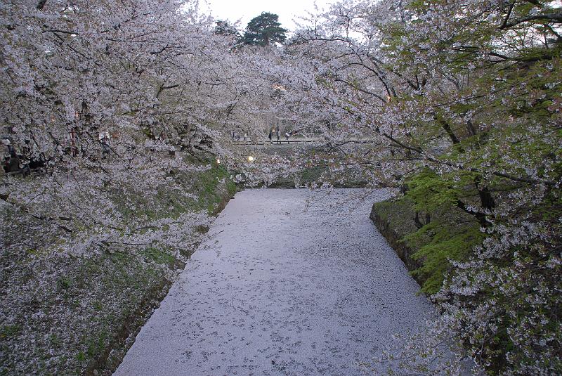 DSC_8956.JPG