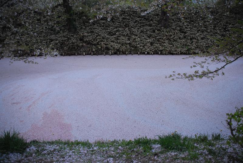 DSC_8962.JPG