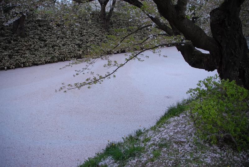 DSC_8963.JPG