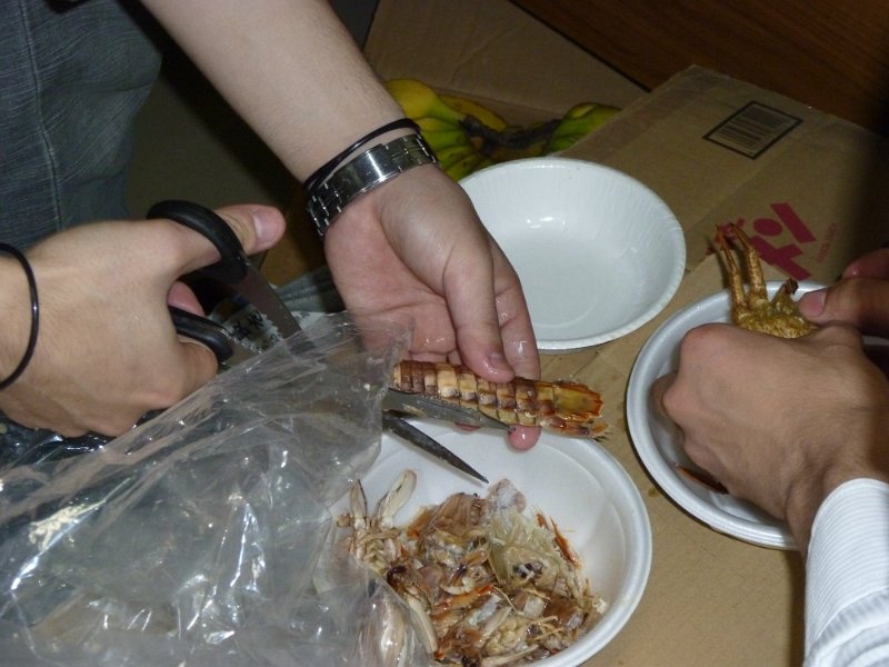 P1000163.JPG