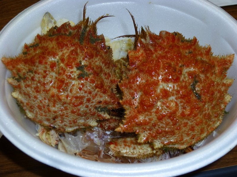 P1000169.JPG