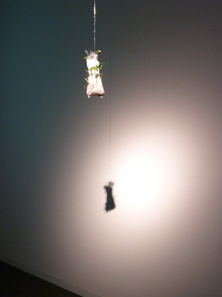 P1000382.JPG