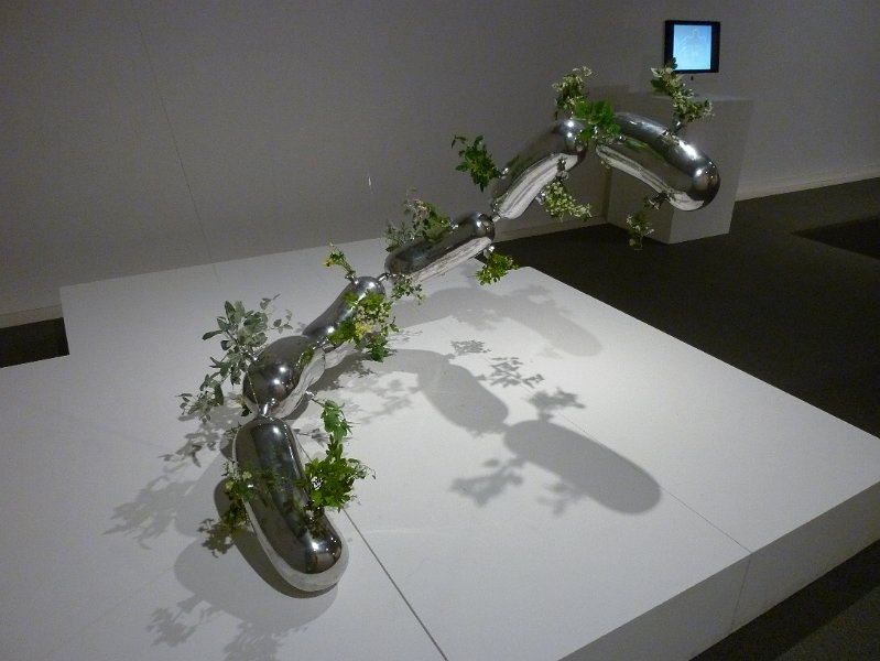 P1000385.JPG