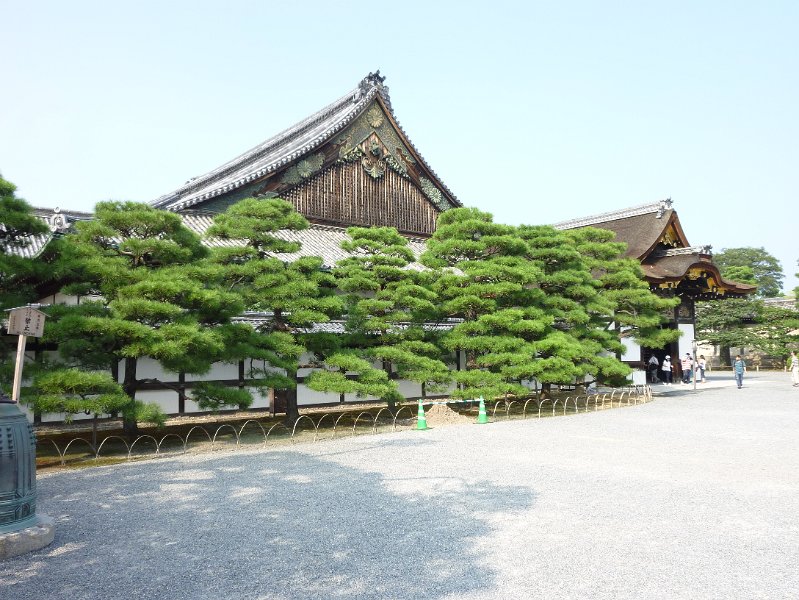 P1000425.JPG