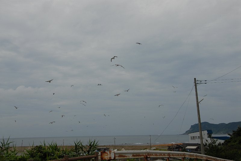 DSC_6108.JPG