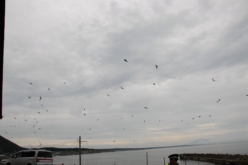 DSC_6125.JPG