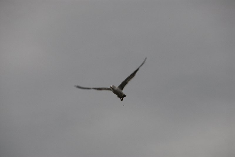 DSC_6151.JPG