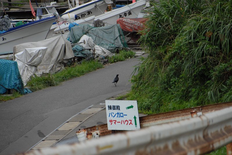 DSC_6188.JPG