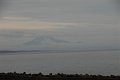 DSC_6173