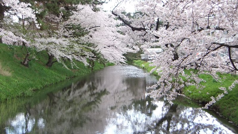 DSCF0100.JPG