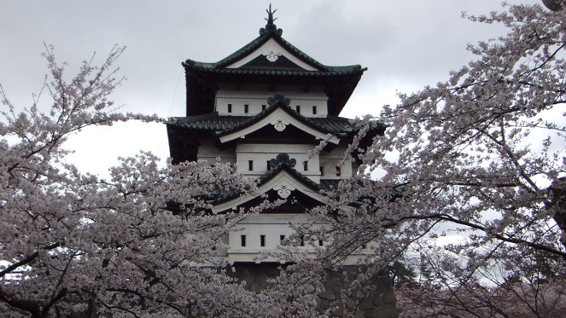 DSCF0104.JPG
