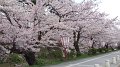 DSCF0065
