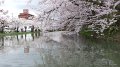 DSCF0071