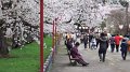 DSCF0074