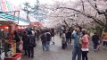 DSCF0082