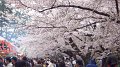 DSCF0083