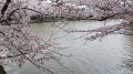 DSCF0085