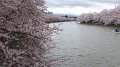 DSCF0087