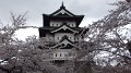 DSCF0104