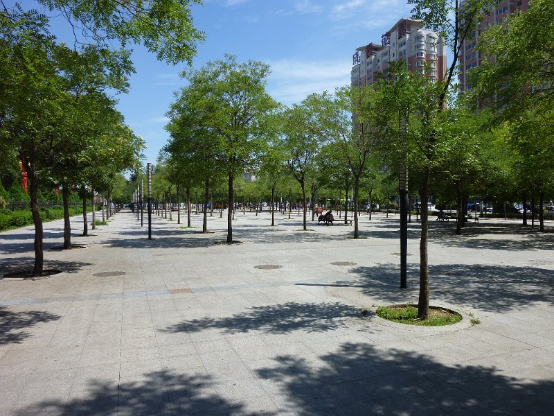 P1010225.JPG