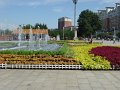 P1010241