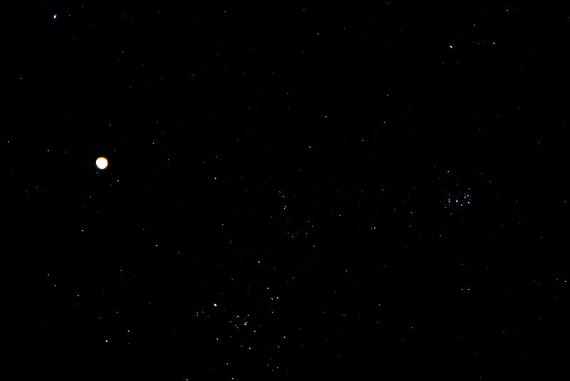 DSC_1423.jpg