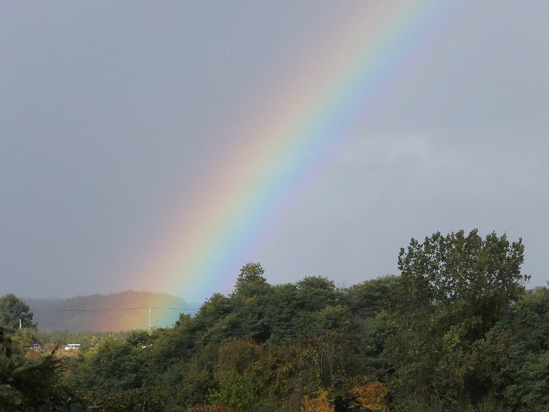 DSCF1952.JPG