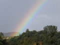 DSCF1952