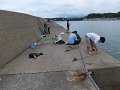 DSCF1768