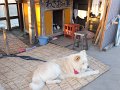 DSCF2872