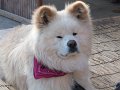 DSCF2874
