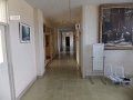 DSCF2906