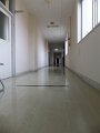 DSCF2911
