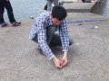DSCF2609