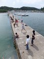 DSCF2611