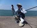 DSCF2627