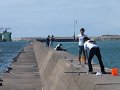 DSCF2631