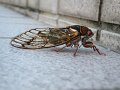 DSCF2673